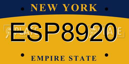 ESP8920 New York License Plate