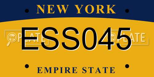 ESS045 New York License Plate
