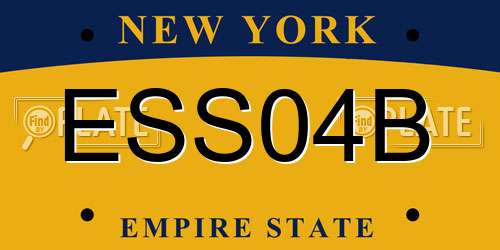 ESS04B New York License Plate