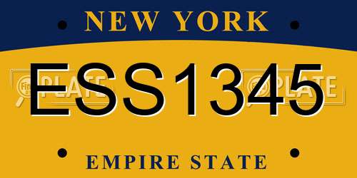 ESS1345 New York License Plate