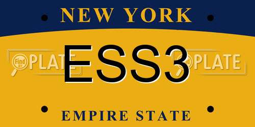 ESS3 New York License Plate
