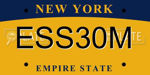 ESS30M New York License Plate