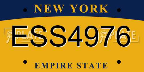 ESS4976 New York License Plate