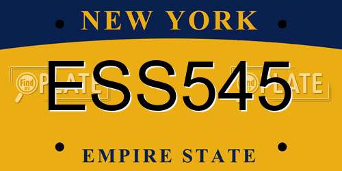 ESS545 New York License Plate