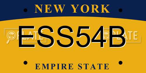 ESS54B New York License Plate
