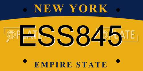 ESS845 New York License Plate