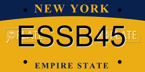 ESSB45 New York License Plate