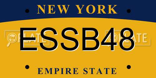 ESSB48 New York License Plate