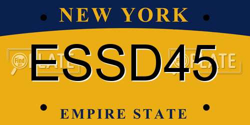 ESSD45 New York License Plate