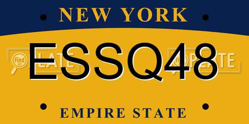 ESSQ48 New York License Plate