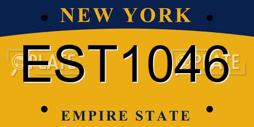 EST1046 New York License Plate