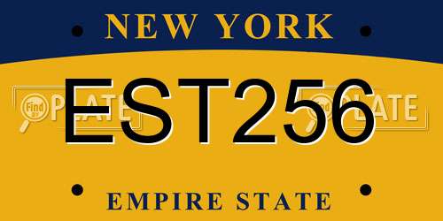 EST256 New York License Plate