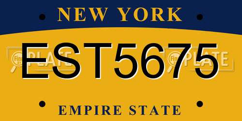 EST5675 New York License Plate