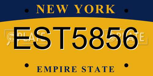 EST5856 New York License Plate