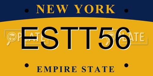 ESTT56 New York License Plate