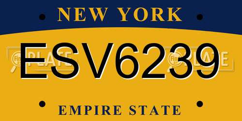 ESV6239 New York License Plate