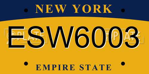 ESW6003 New York License Plate