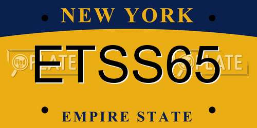 ETSS65 New York License Plate