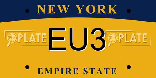 EU3 New York License Plate