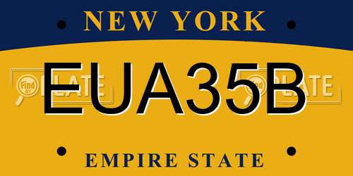 EUA35B New York License Plate