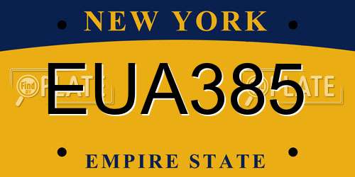 EUA385 New York License Plate