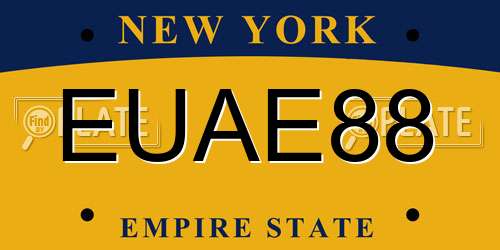EUAE88 New York License Plate