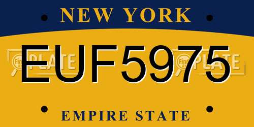 EUF5975 New York License Plate