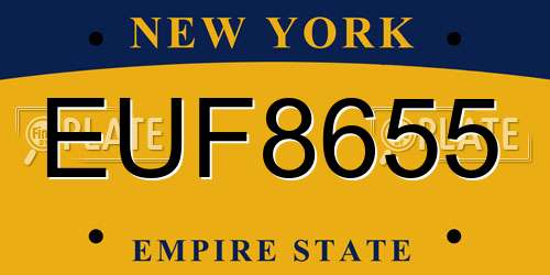 EUF8655 New York License Plate