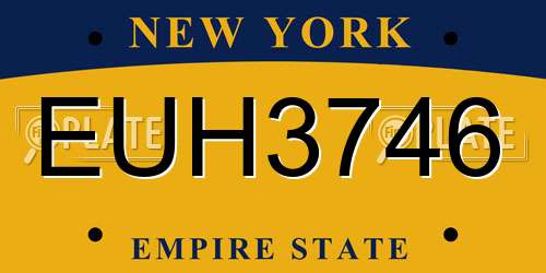 EUH3746 New York License Plate