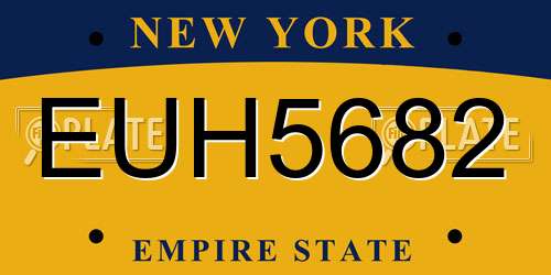 EUH5682 New York License Plate