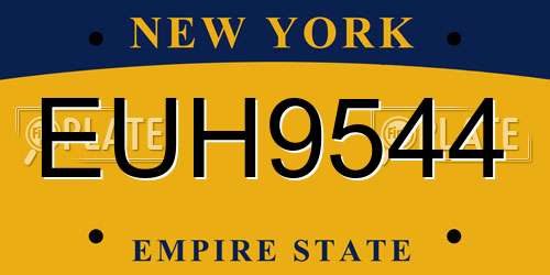 EUH9544 New York License Plate