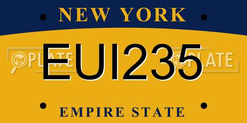 EUI235 New York License Plate