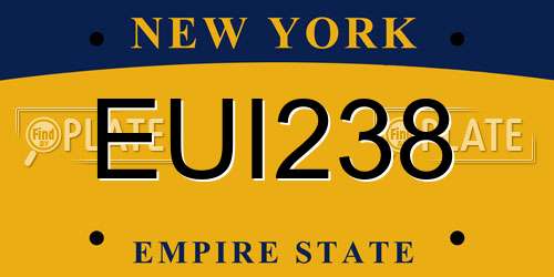 EUI238 New York License Plate