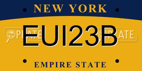 EUI23B New York License Plate