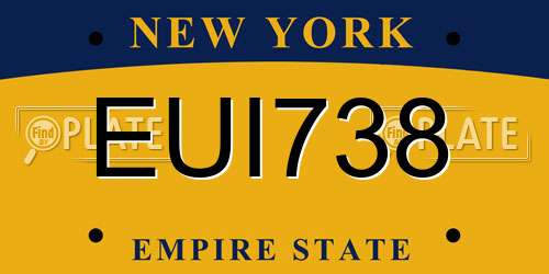 EUI738 New York License Plate