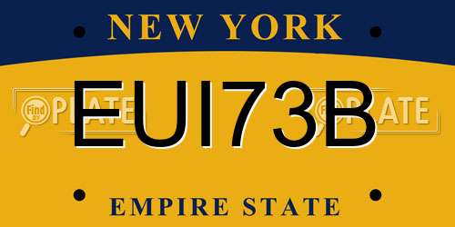 EUI73B New York License Plate