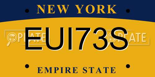 EUI73S New York License Plate