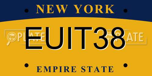EUIT38 New York License Plate