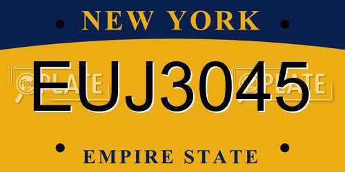 EUJ3045 New York License Plate
