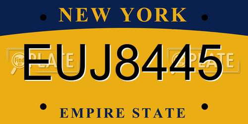 EUJ8445 New York License Plate