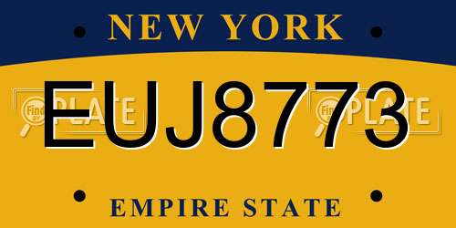 EUJ8773 New York License Plate