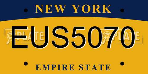 EUS5070 New York License Plate
