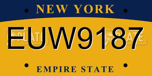 EUW9187 New York License Plate