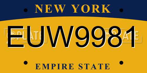 EUW9981 New York License Plate