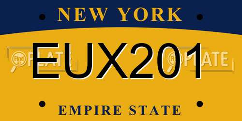 EUX201 New York License Plate