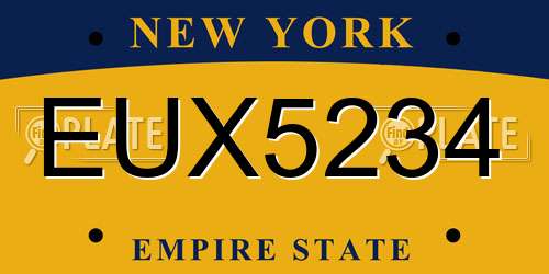 EUX5234 New York License Plate