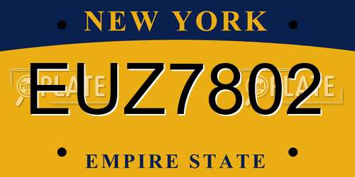 EUZ7802 New York License Plate