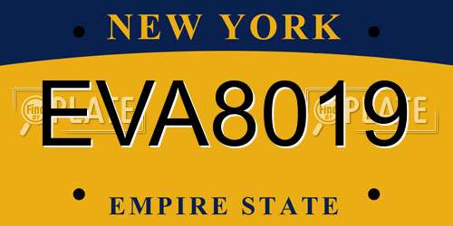 EVA8019 New York License Plate