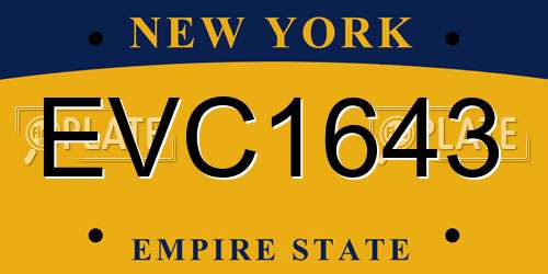 EVC1643 New York License Plate
