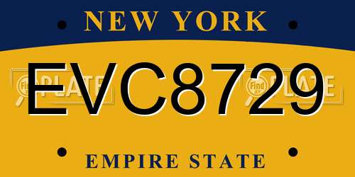 EVC8729 New York License Plate
